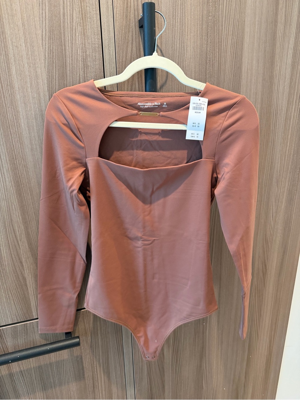 Abercrombie & Fitch Long Sleeve Cutout Bodysuit in Rusty Rose
